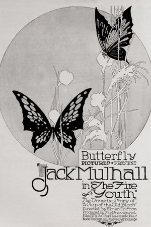 The Flame of Youth's poster