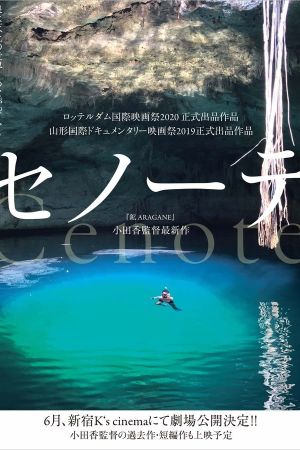 Cenote's poster image