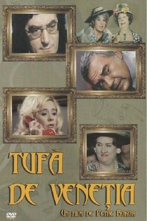 Tufa de Venetia's poster