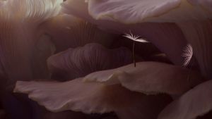 Dandelion's Odyssey's poster