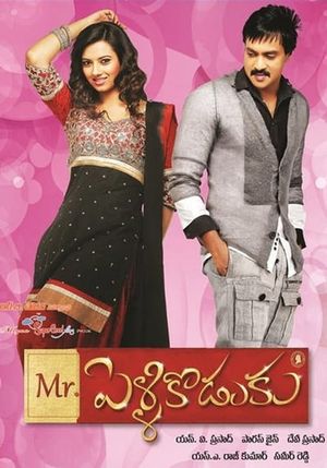 Mr. Pellikodukku's poster