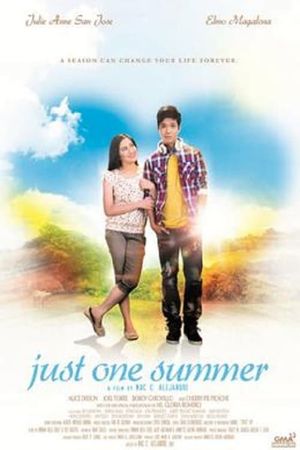 Just One Summer's poster image