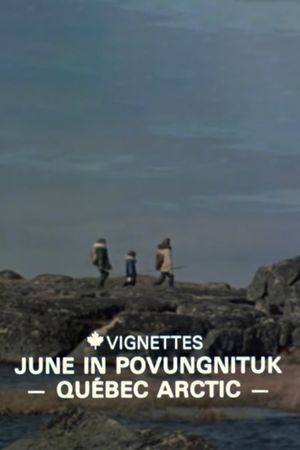 Canada Vignettes: June in Povungnituk - Quebec Arctic's poster