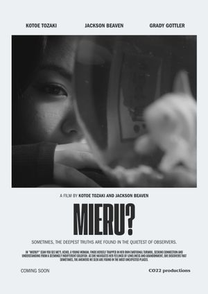 Can you see me?'s poster