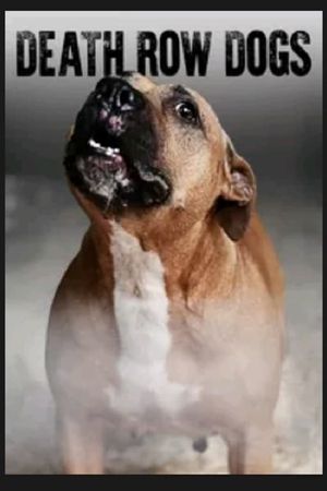 Death Row Dogs's poster