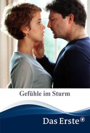 Gefühle im Sturm's poster