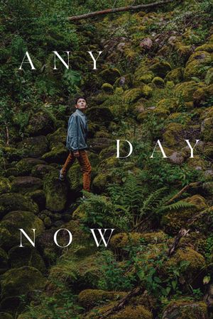 Any Day Now's poster
