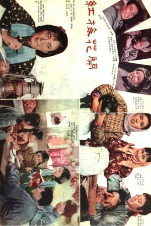 红梅花开's poster
