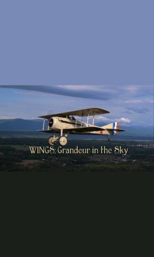 Wings: Grandeur in the Sky's poster