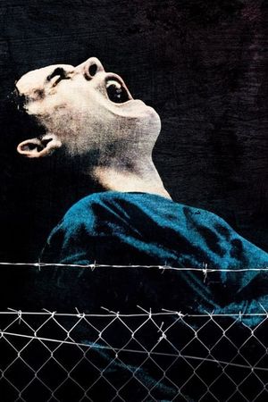 Dog Pound's poster
