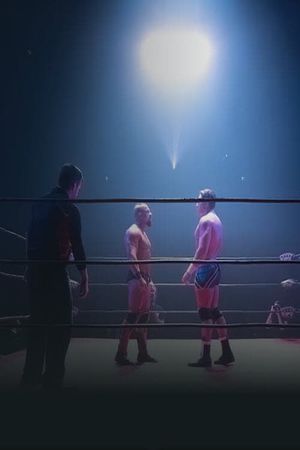 Dans le ring du Diamant's poster