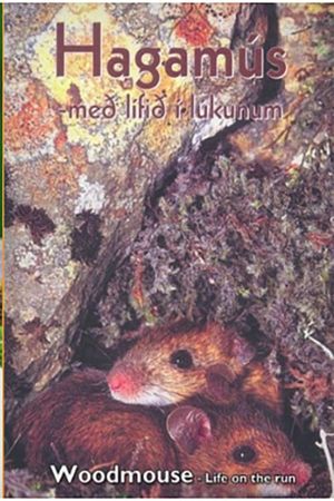 Woodmouse: Life on the Run's poster