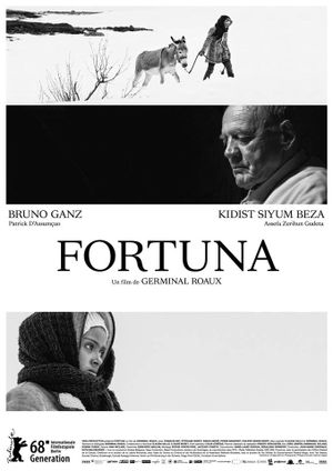 Fortuna's poster