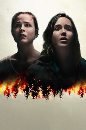 Into the Forest's poster