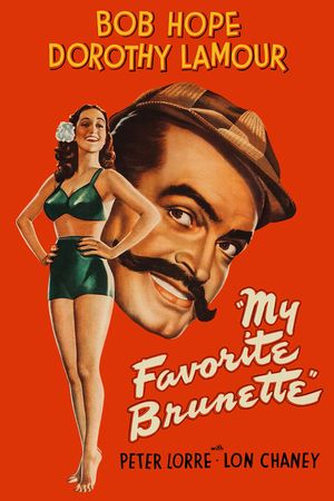 My Favorite Brunette's poster