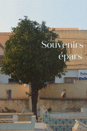 Souvenirs épars's poster
