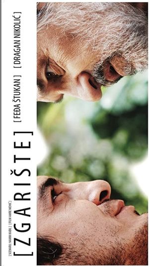 The Ruin's poster
