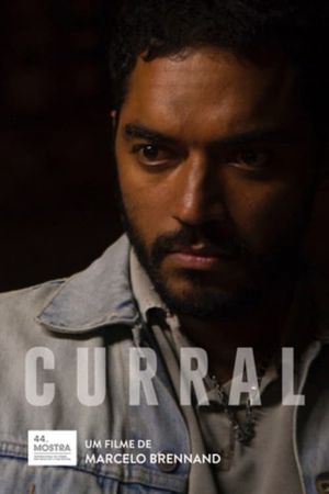 Curral's poster image