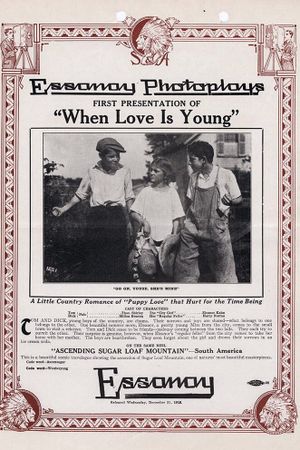 When Love is Young's poster