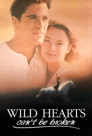 Wild Hearts Can't Be Broken's poster