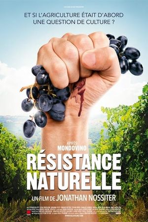 Natural Resistance's poster