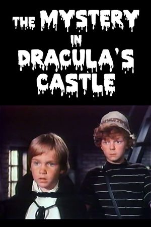 The Mystery in Dracula's Castle's poster