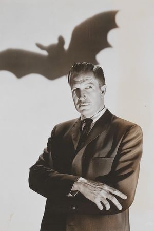 The Bat's poster