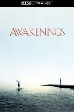 Awakenings's poster