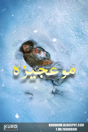 The Miracle's poster