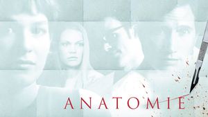 Anatomy's poster