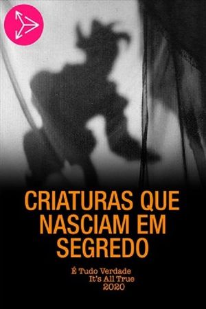 Criaturas Que Nasciam em Segredo's poster