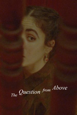The Question from Above's poster