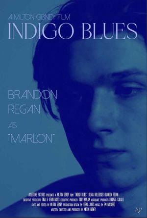 Indigo Blues's poster