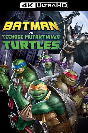 Batman vs Teenage Mutant Ninja Turtles's poster