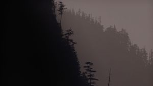 Twin Peaks: Fire Walk with Me's poster