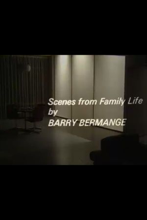 Scenes from Family Life's poster
