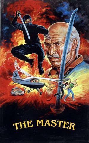 Master Ninja's poster
