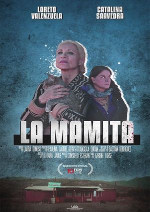 La Mamita's poster