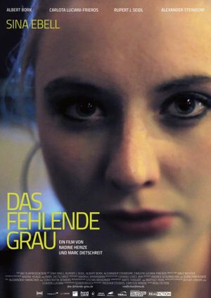 Das fehlende Grau's poster