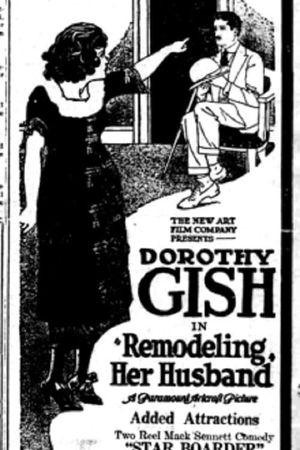 Remodeling Her Husband's poster