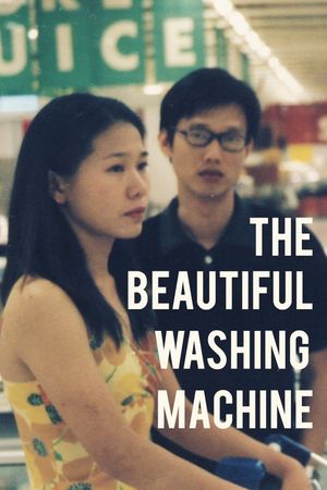 The Beautiful Washing Machine's poster