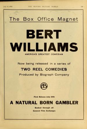 A Natural Born Gambler's poster image