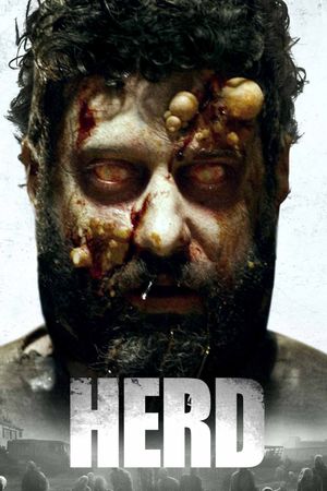 Herd's poster