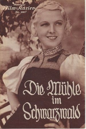 In einem kühlen Grunde's poster image