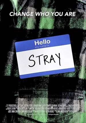 Stray's poster