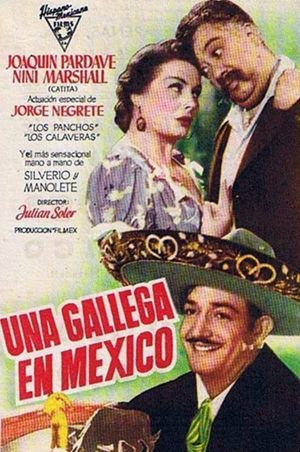 Una gallega en México's poster