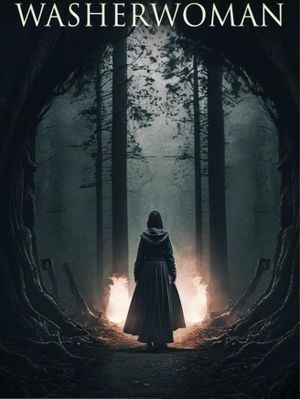 Washerwoman's poster