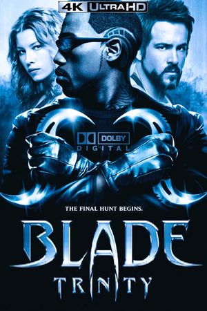 Blade: Trinity's poster