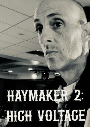 Haymaker 2: High Voltage's poster