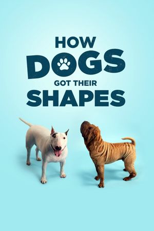 How Dogs Got Their Shapes's poster